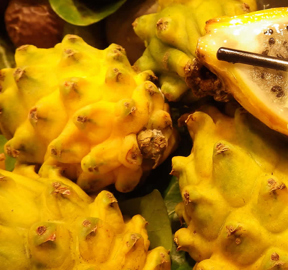 Yellow Pitahaya