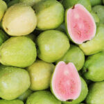 Guayaba