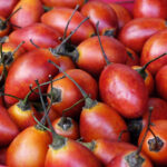 Tamarillo