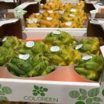 Producto Pitahaya