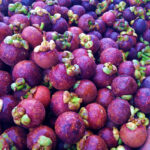 Mangostino