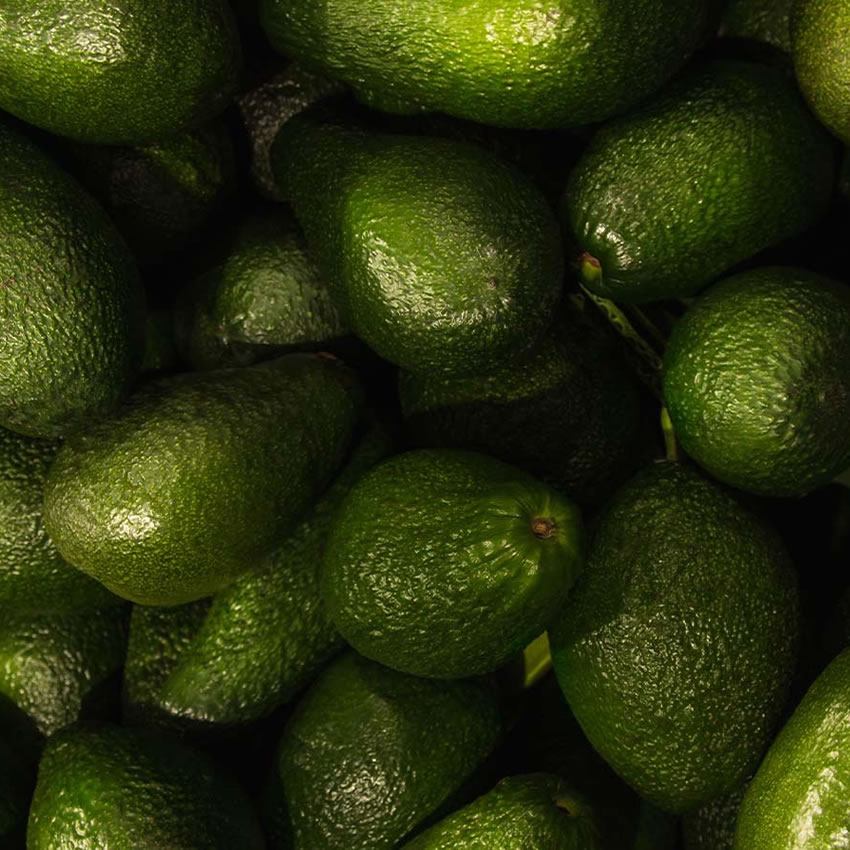 Hass Avocado